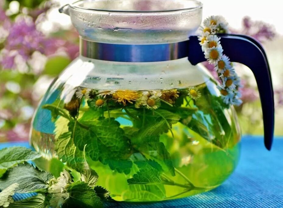 Herbs collection infusion from varicose veins