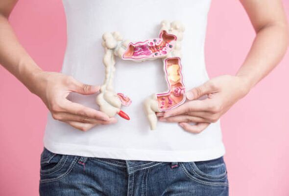 The functioning of the intestine